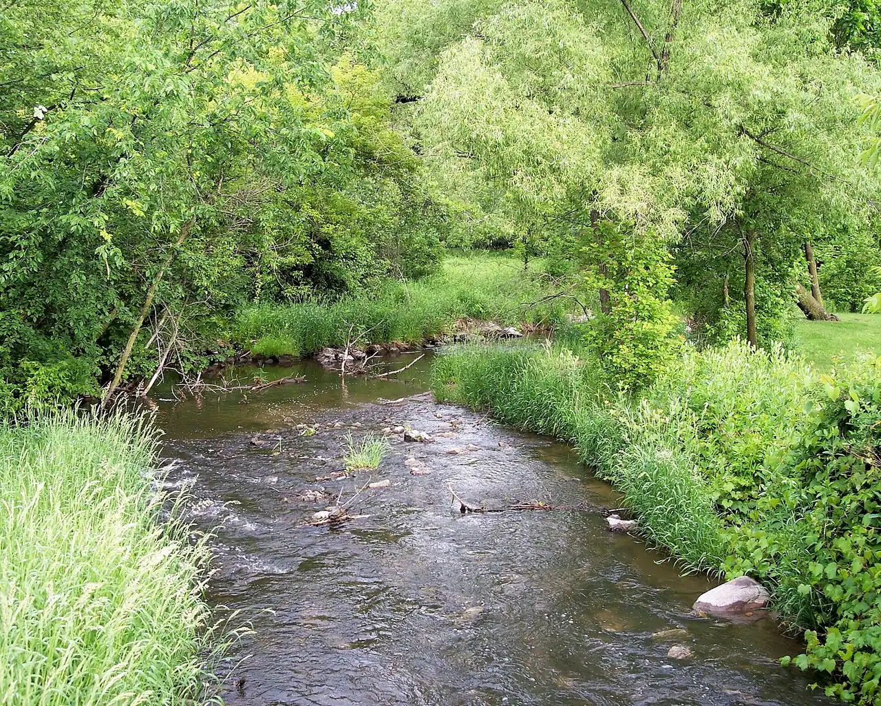 The Credit River running through green woods in Hidden Valley Park, Savage, Minnesota